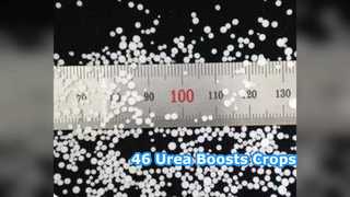 Boostez les cultures : 46 % d’engrais à base d’urée pour les agriculteurs