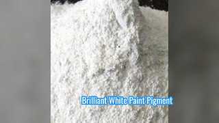 Pigment blanc BLR 895 TiO2 pour peinture